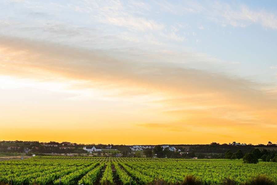 0 Bedroom Property for Sale in Val De Vie Estate Western Cape